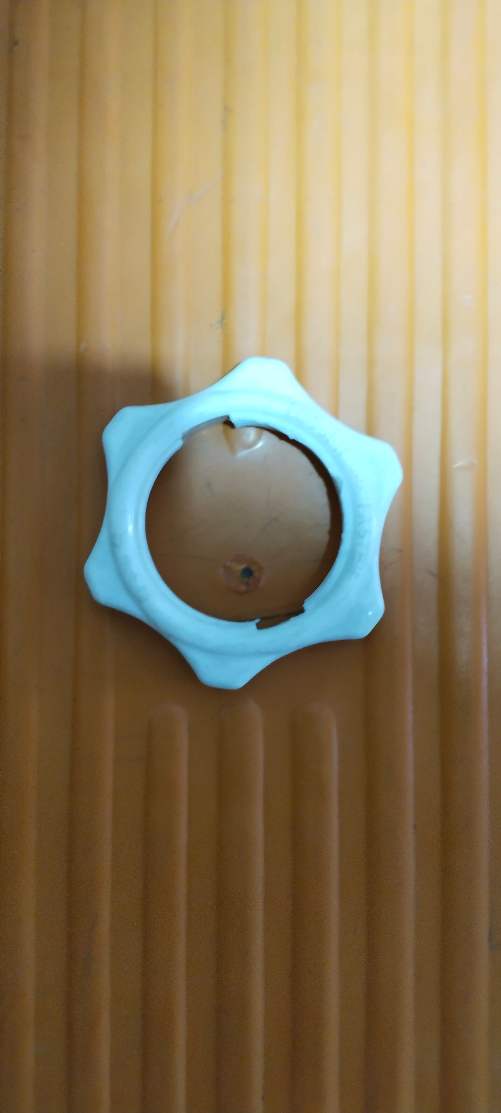Fan door net Big